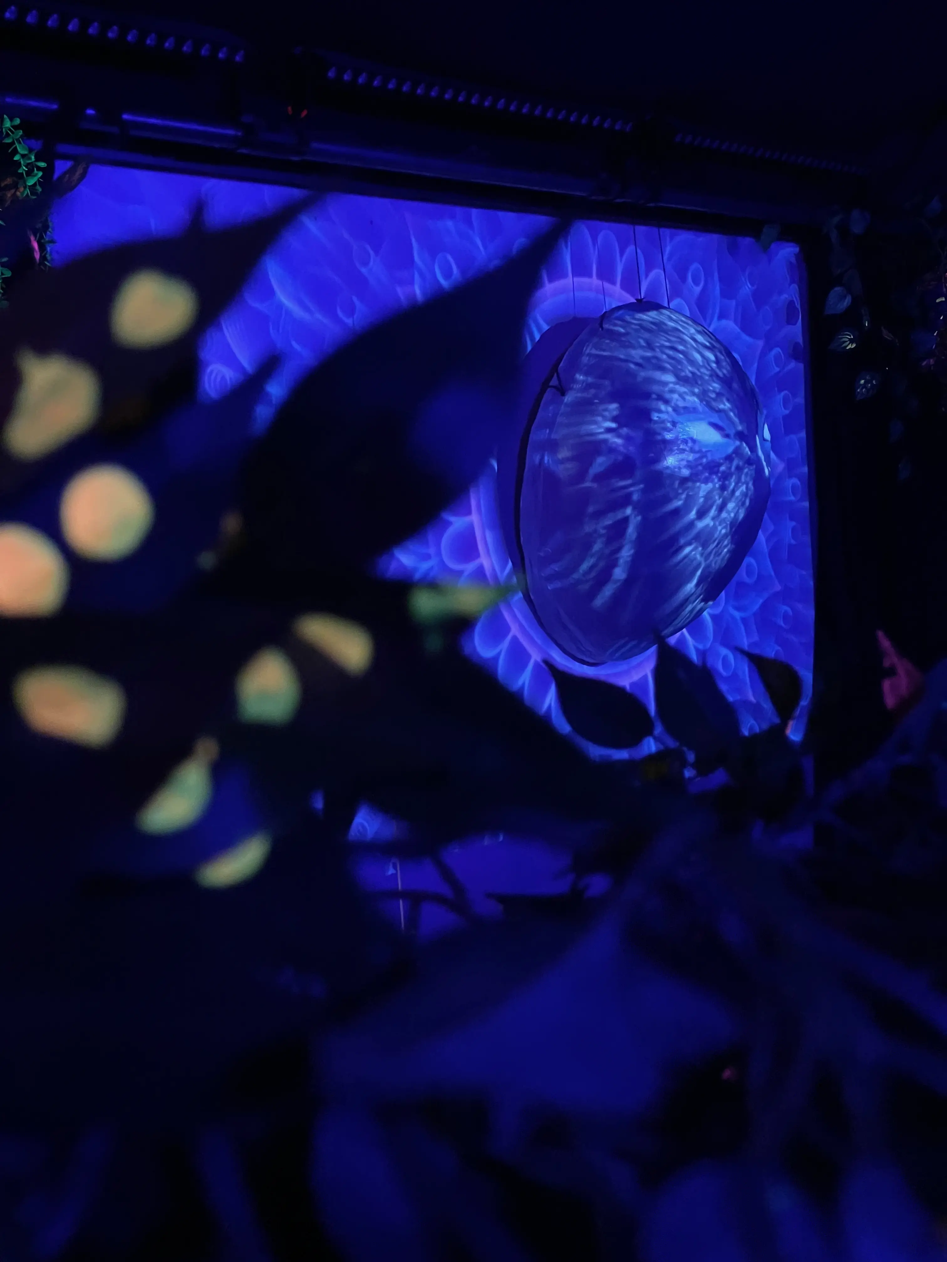 Tohuwabohu event decoration 3