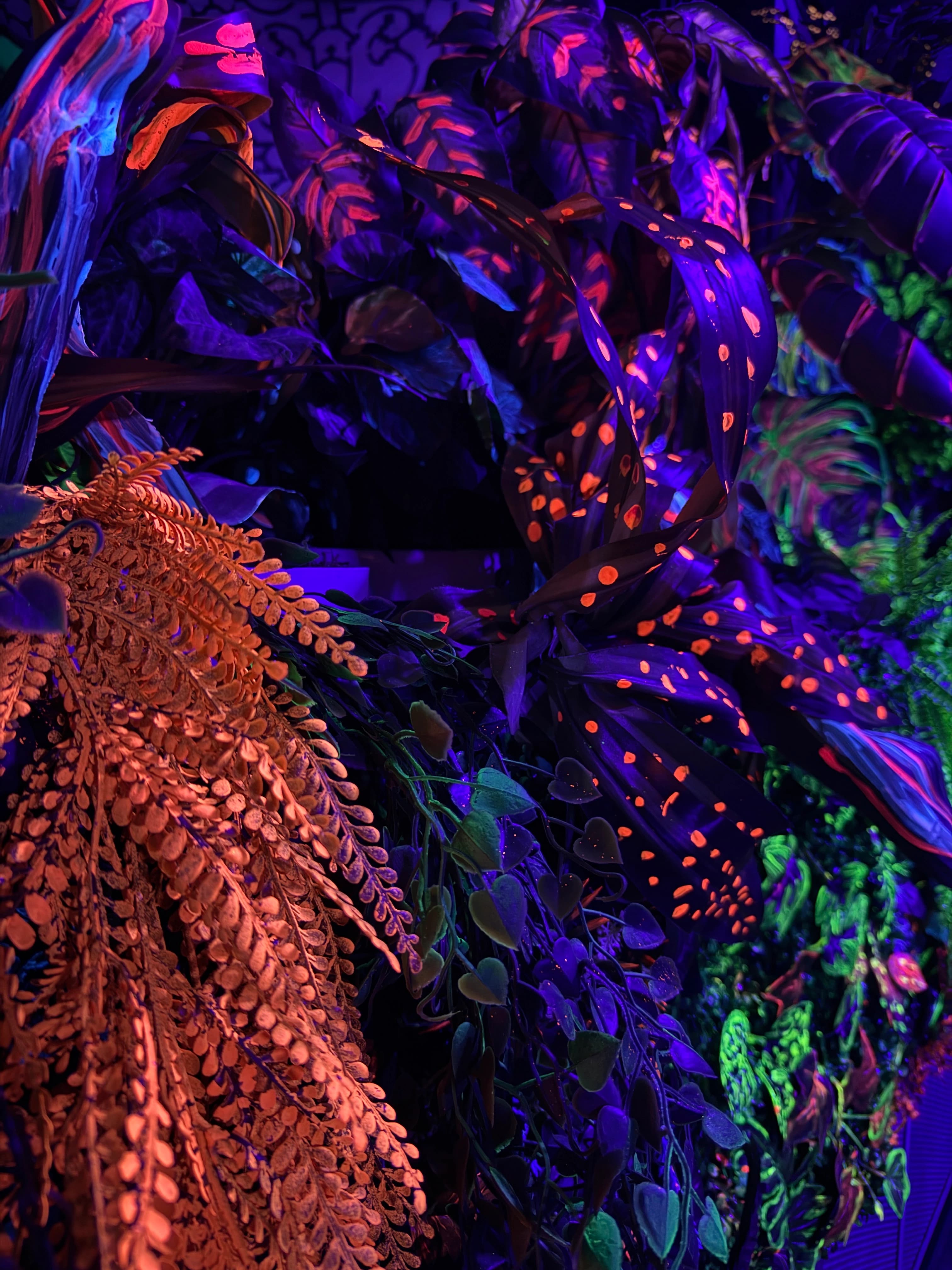 Tohuwabohu event decoration 16