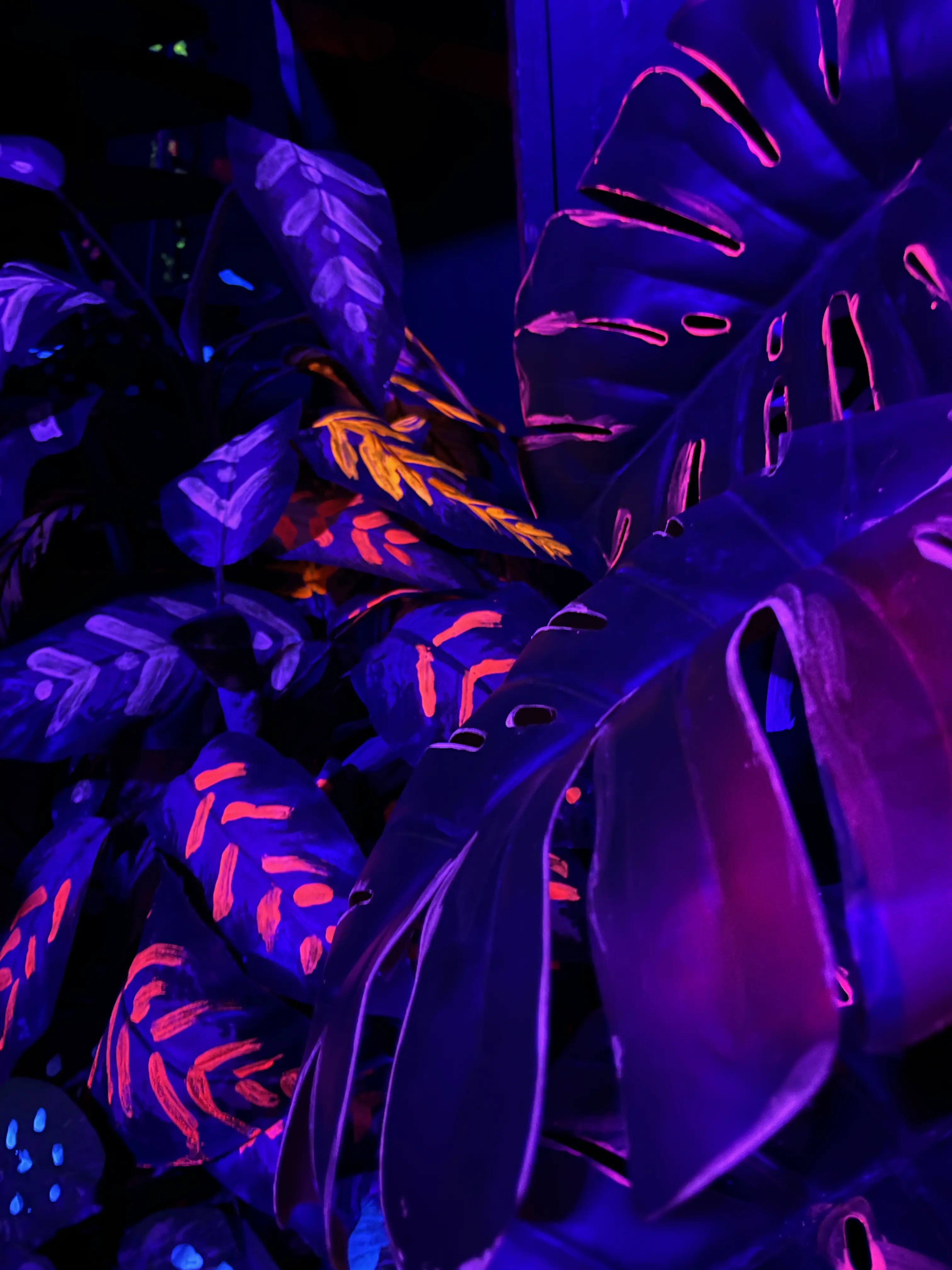 Tohuwabohu event decoration 8